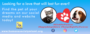 Humane Society of Greater Miami